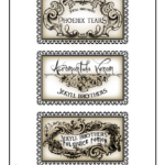 Harry Potter Potions Lab Labels Woo Jr Kids Activities