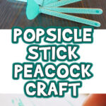 Popsicle Stick Peacock Craft Woo Jr Kids Activities