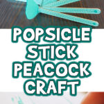 Popsicle Stick Peacock Craft Woo Jr Kids Activities