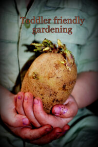 Toddler Friendly Gardening Woo Jr Kids Activities