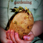 Toddler Friendly Gardening Woo Jr Kids Activities