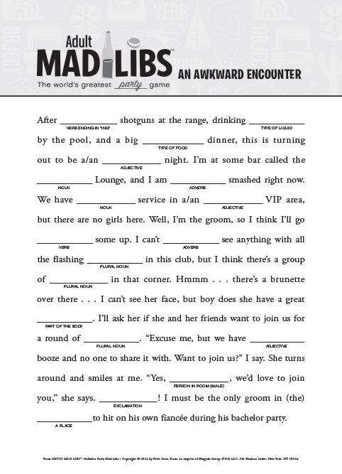 Adult Mad Libs Books Please Read Responsibly Funny Mad Libs Mad 